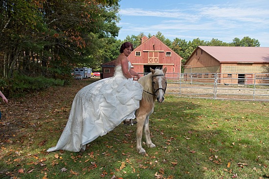 Hoof Prints across New Hampshire